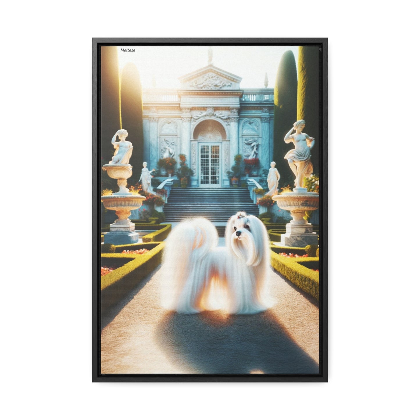 Charming Elegance: Maltese Dog Portrait by Arturo Digavi