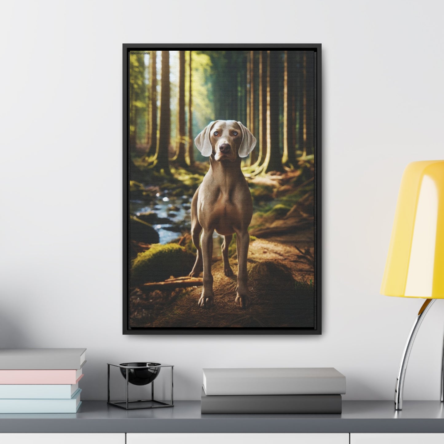 Embrace Elegance with the Weimaraner