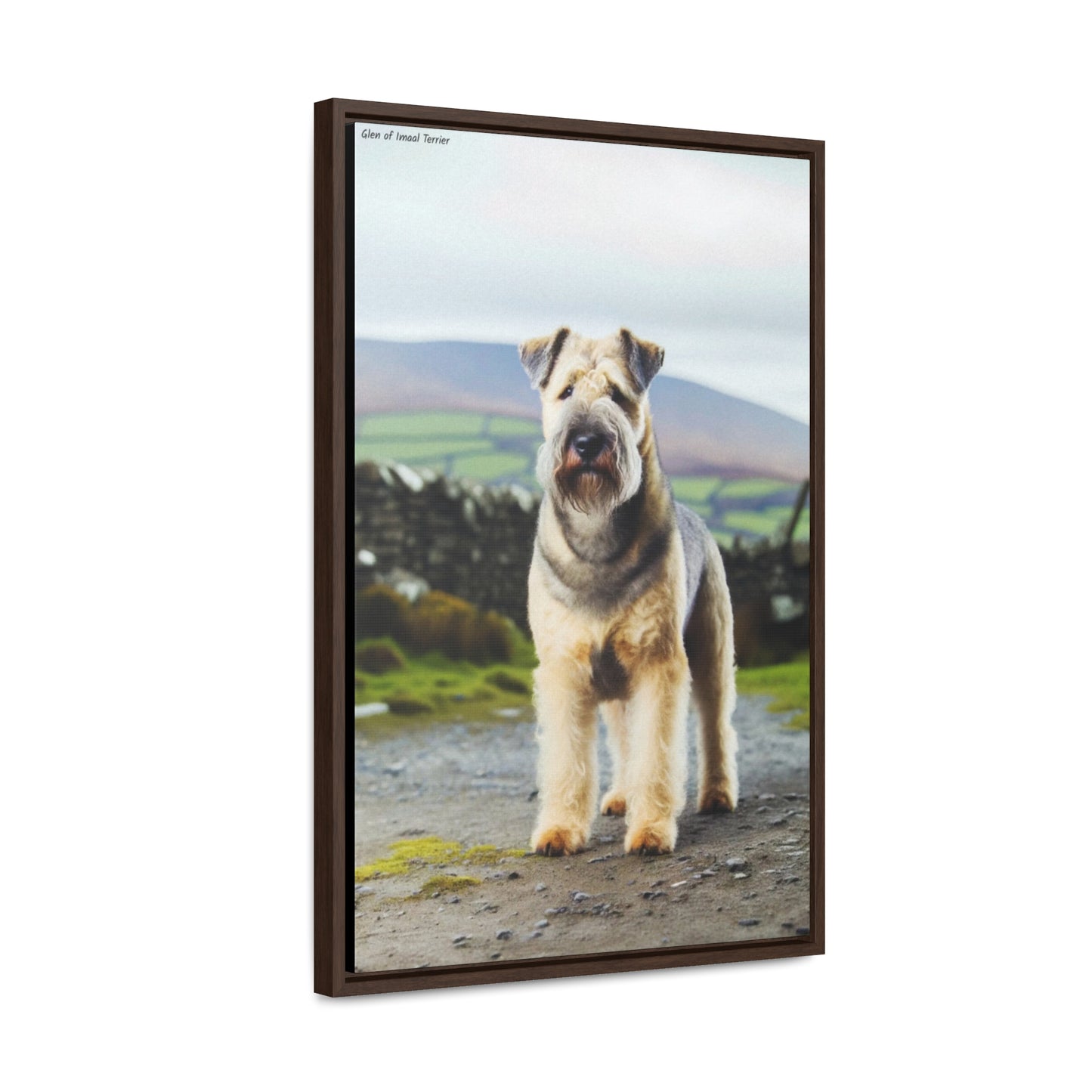 Charming Glen of Imaal Terrier - A Unique Canvas by Arturo Digavi