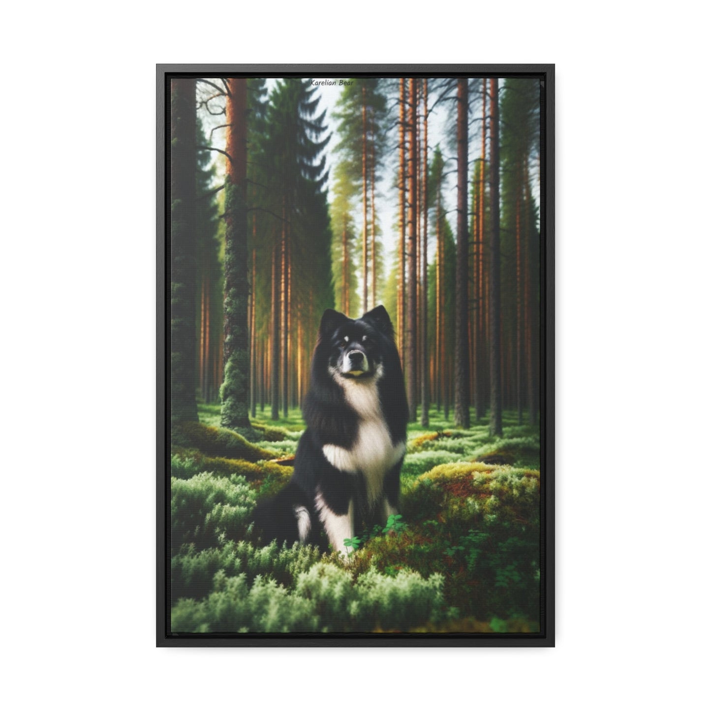 Karelian Bear Dog: Bold Spirit on Canvas by Arturo Digavi