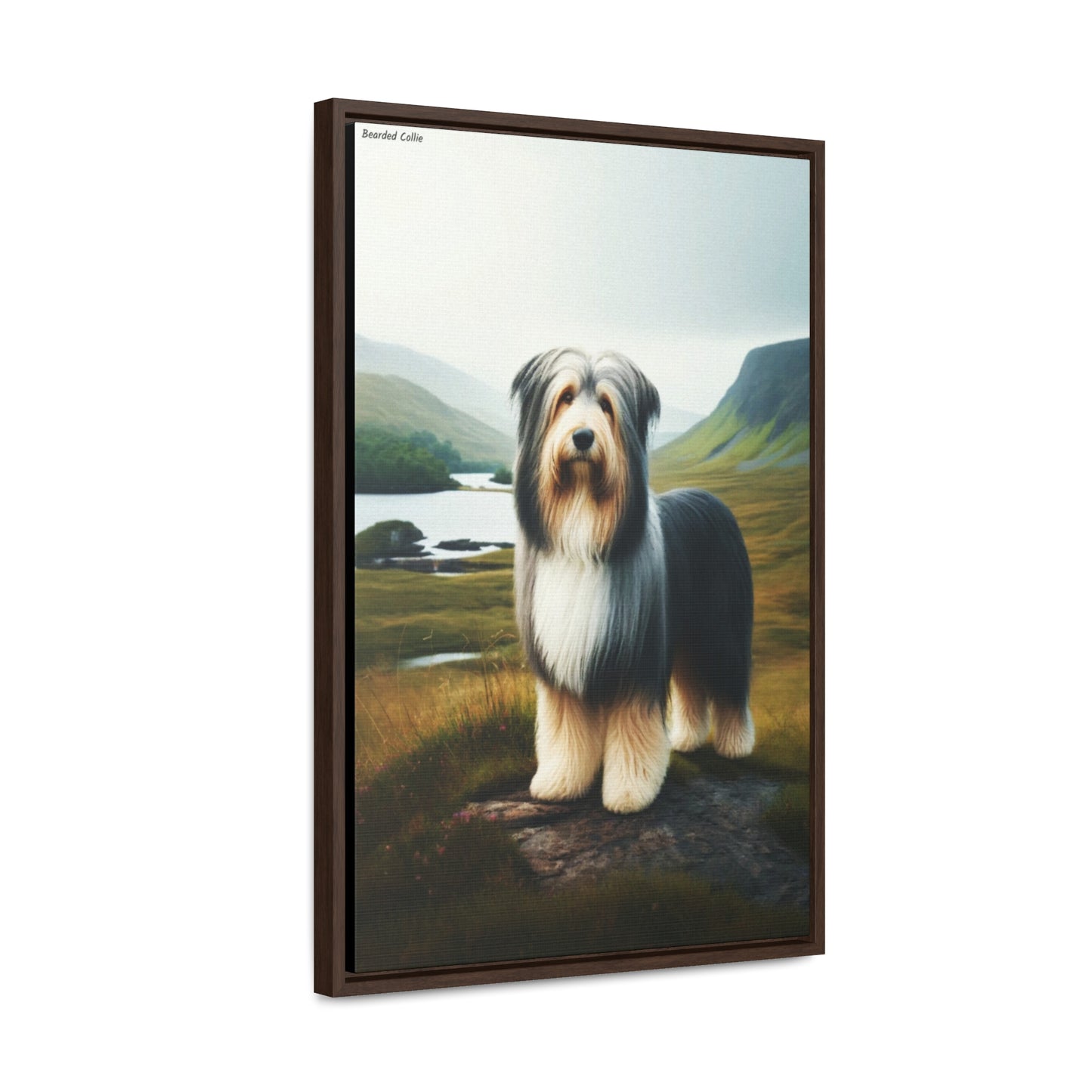 Bearded Collie: A Whimsical Portrait of Charm