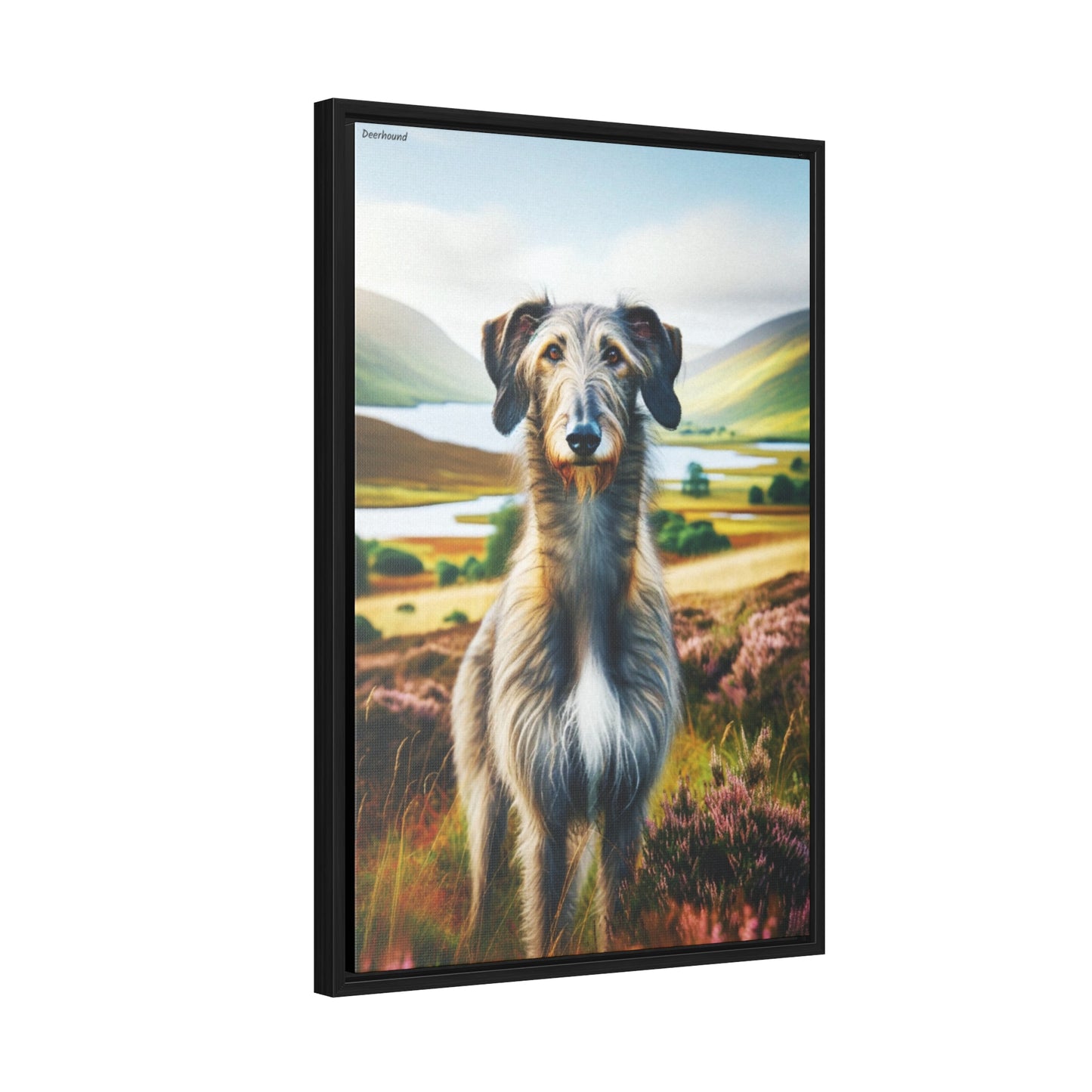 Noble Deerhound in Art