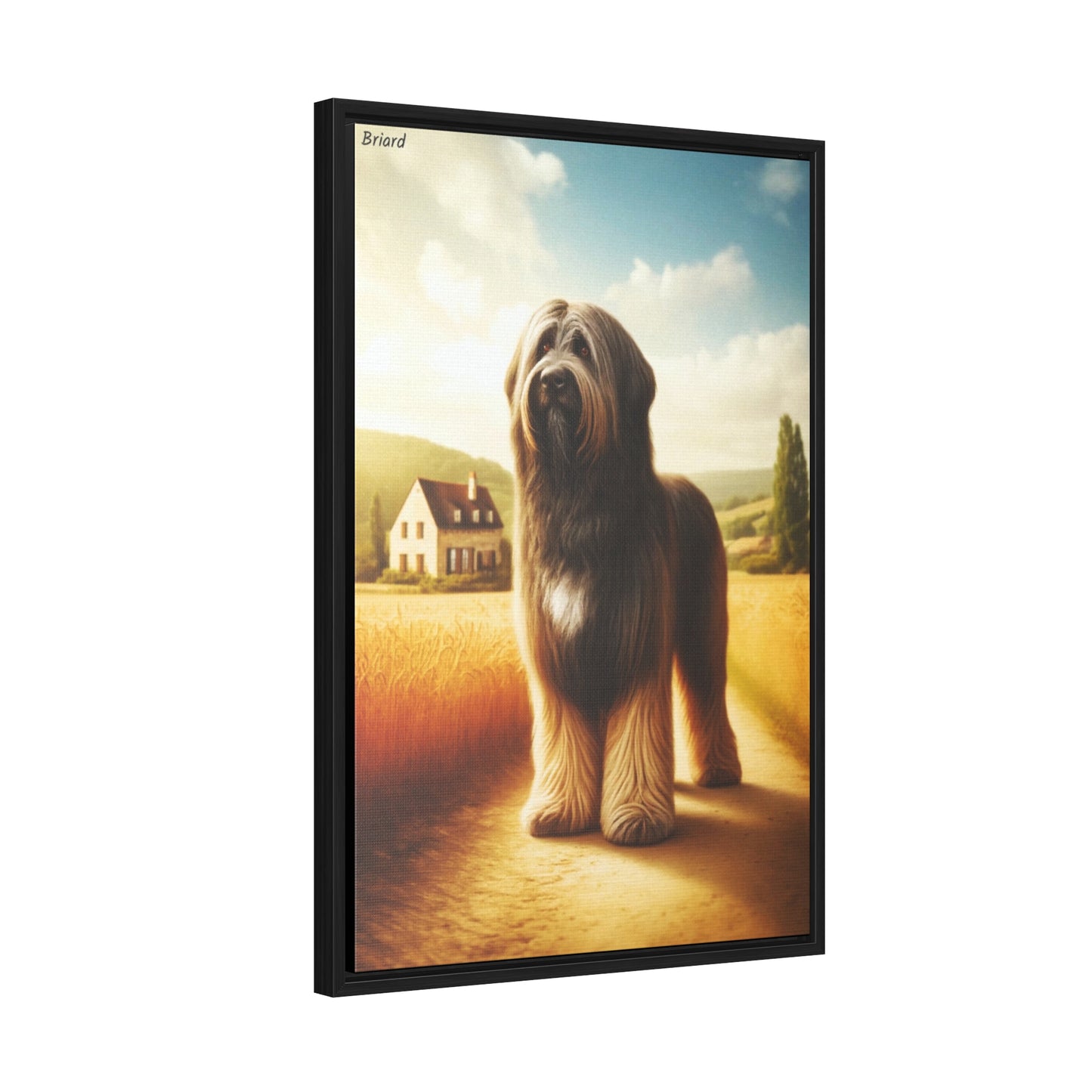 The Majestic Briard: A Canvas Celebration