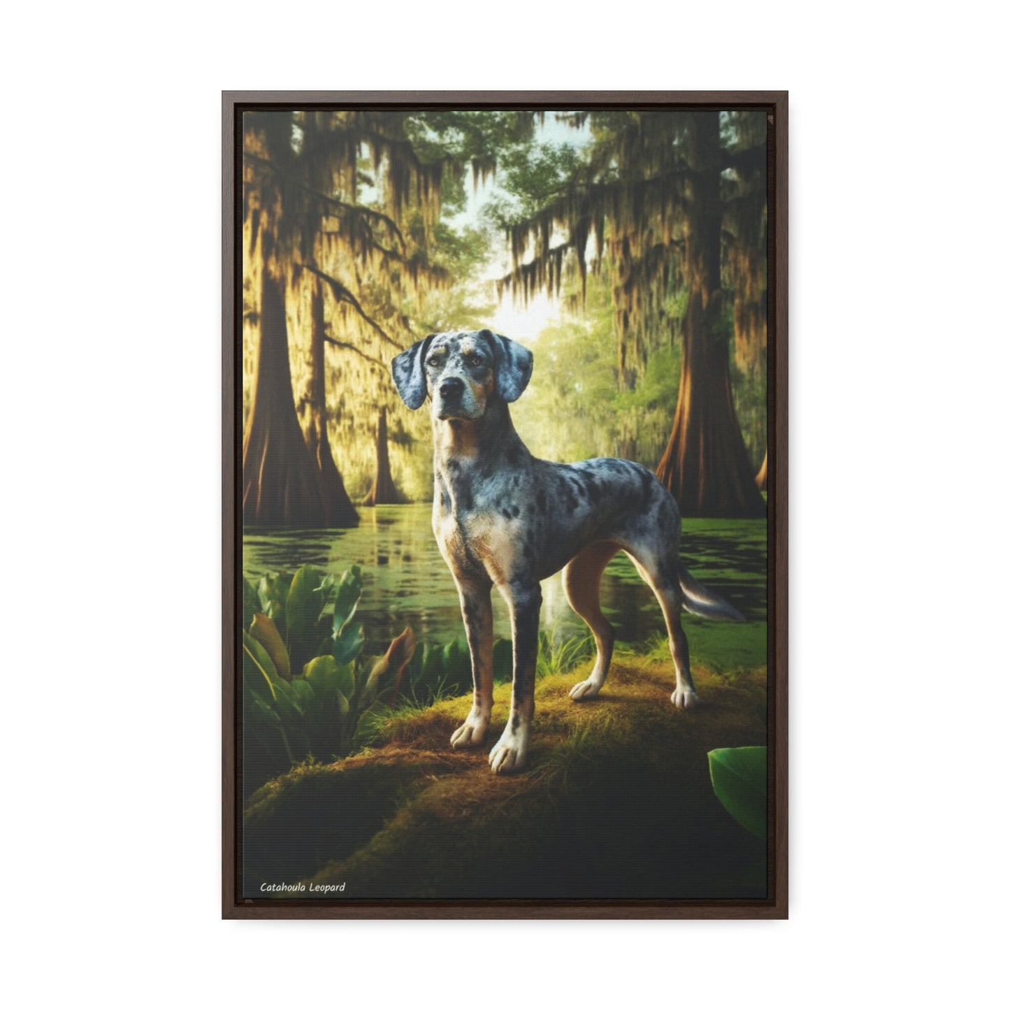 Wild Spirit: The Catahoula Leopard Dog