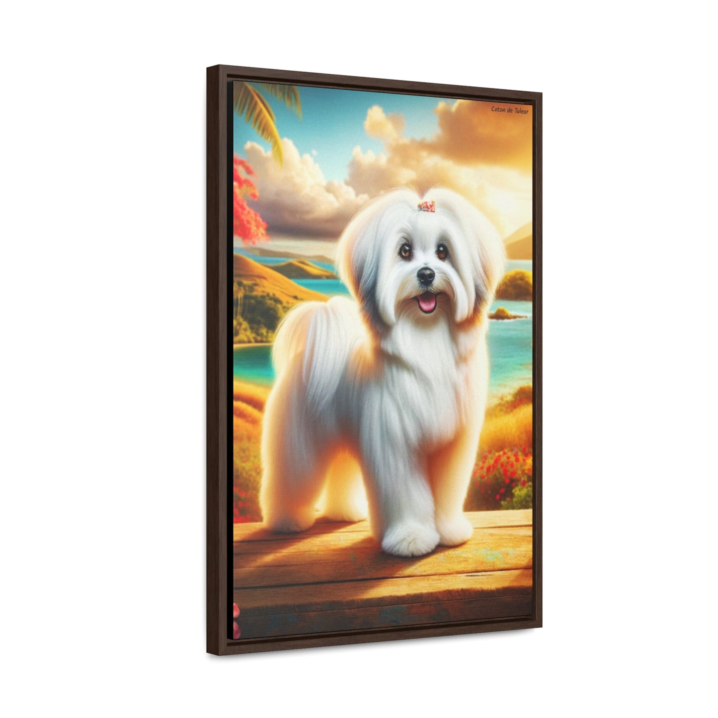 Delightful Coton de Tulear