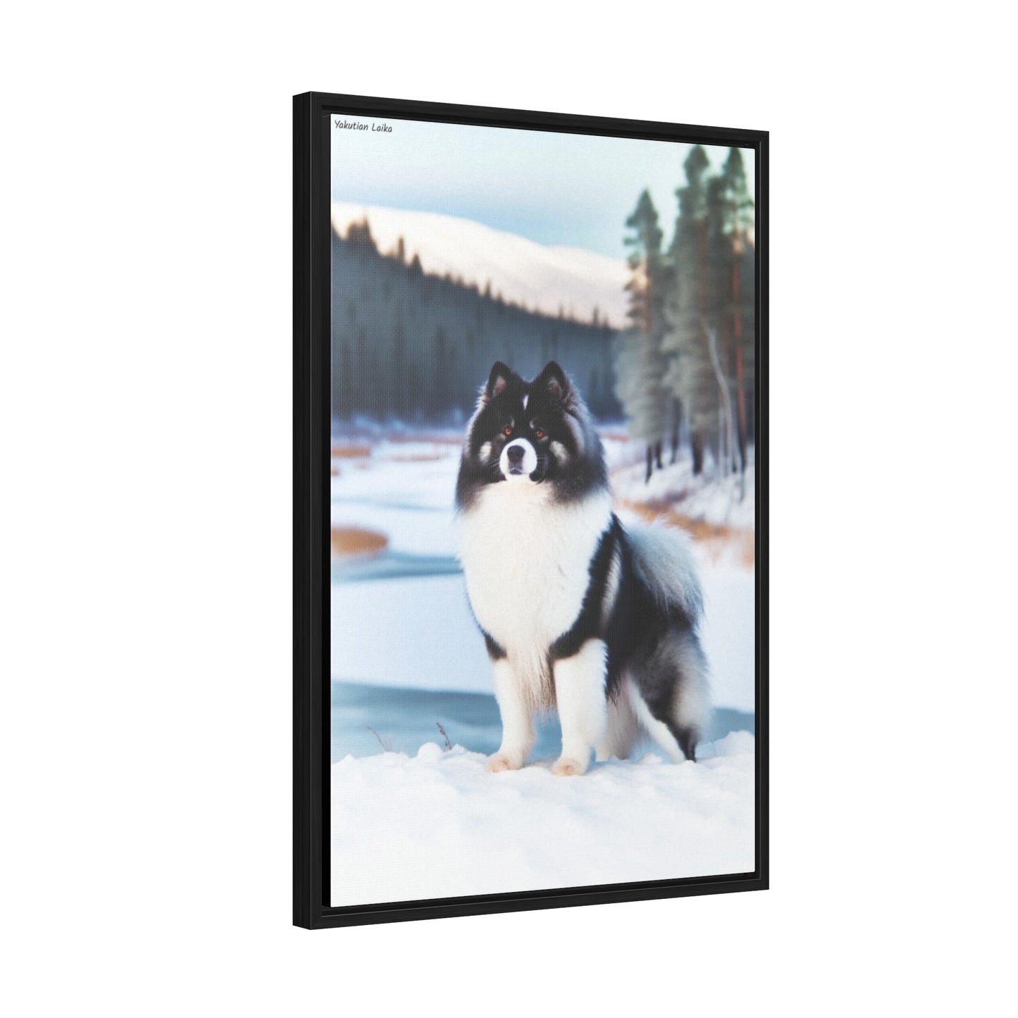 Majestic Yakutian Laika: A Unique Canvas Artwork