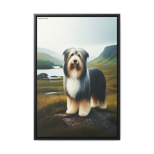 Bearded Collie: A Whimsical Portrait of Charm