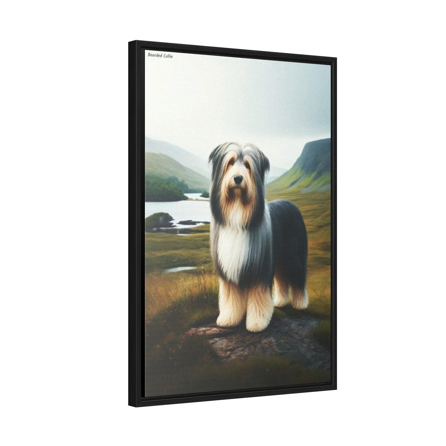 Bearded Collie: A Whimsical Portrait of Charm