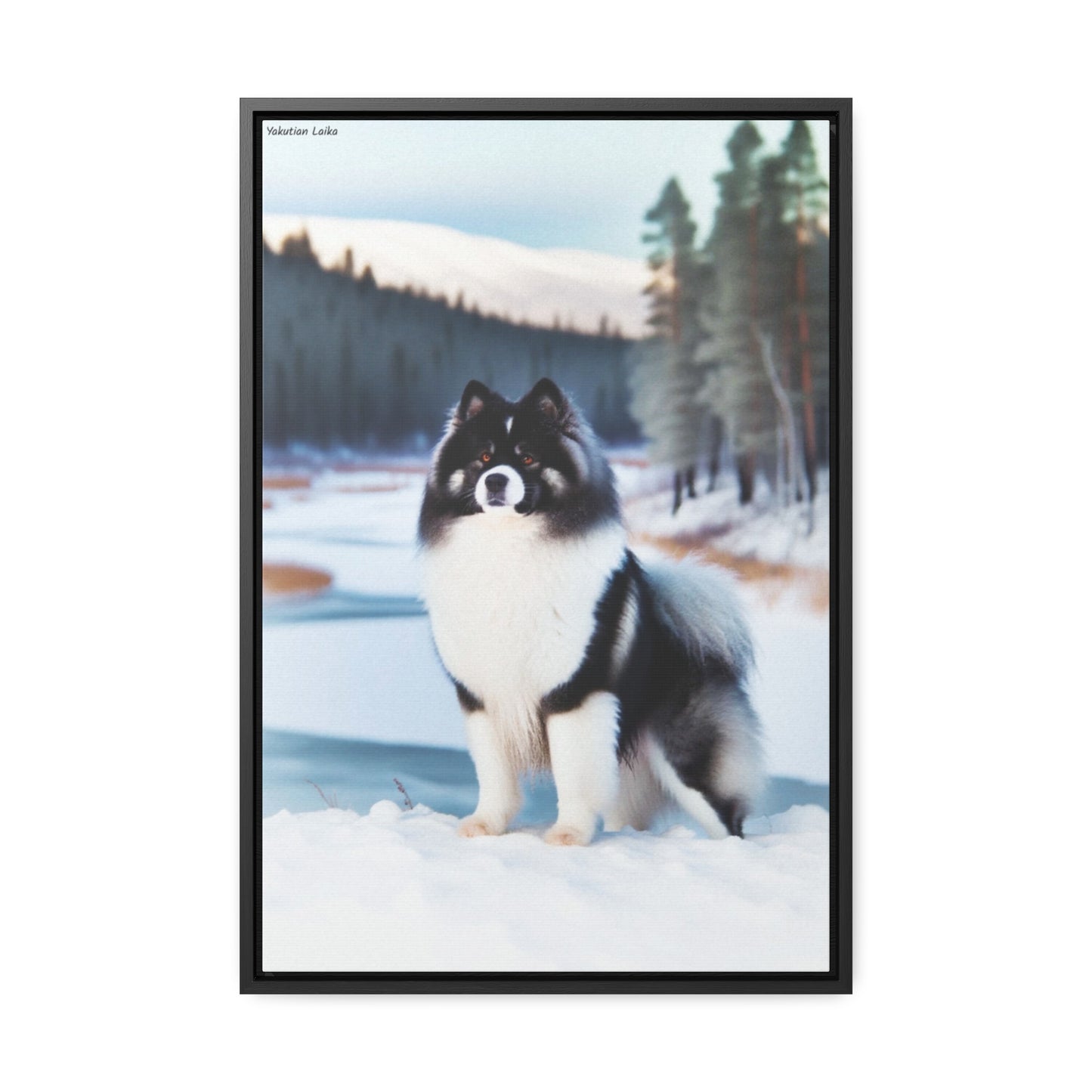 Majestic Yakutian Laika: A Unique Canvas Artwork