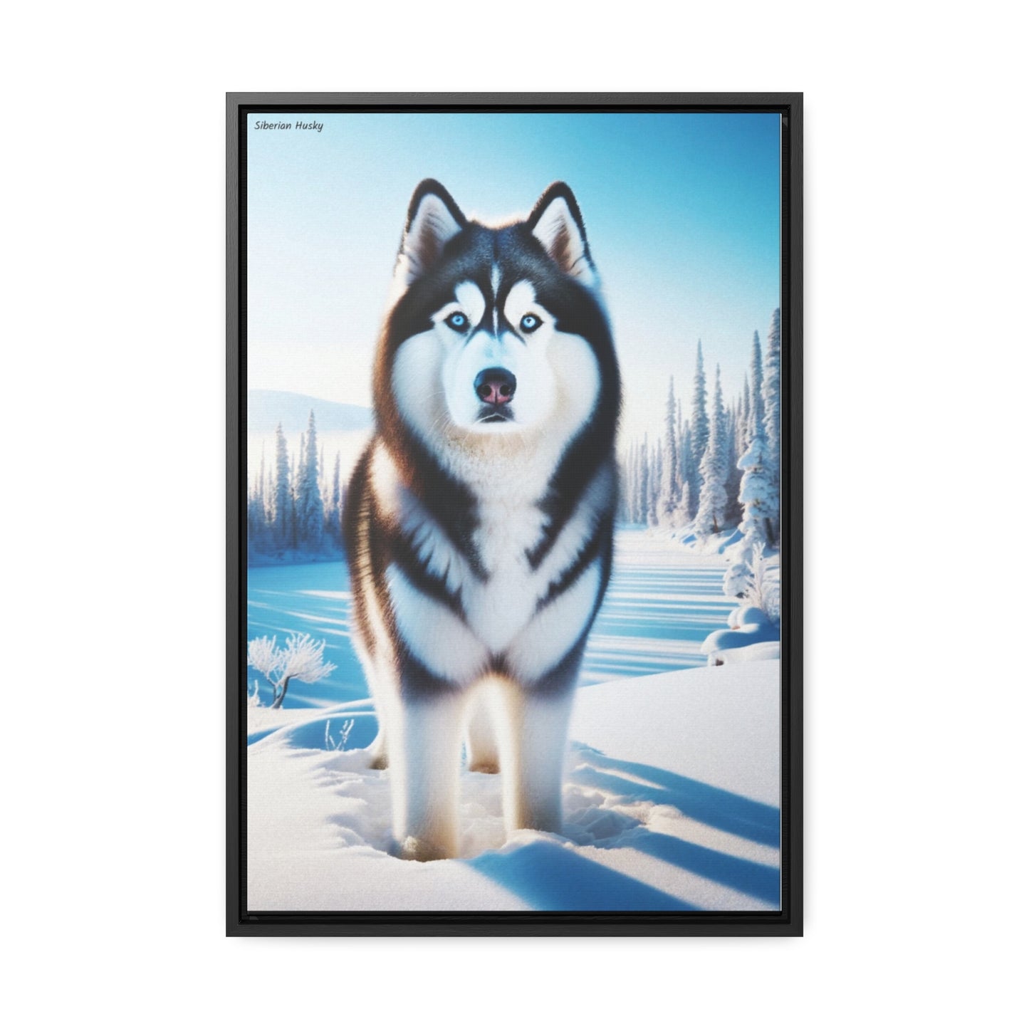 Majestic Siberian Husky: A Unique Digital Artwork by Arturo Digavi