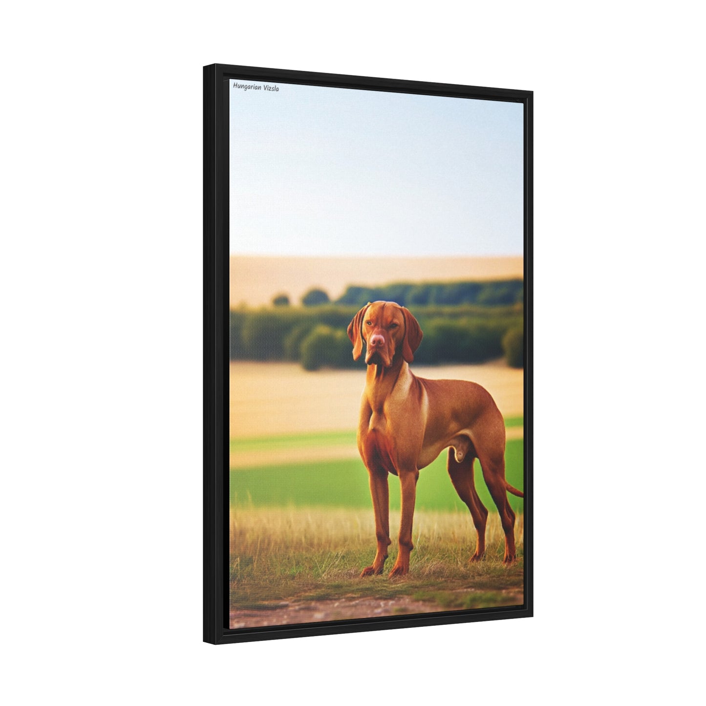 Hungarian Vizsla Majesty: A Captivating Canvas by Arturo Digavi