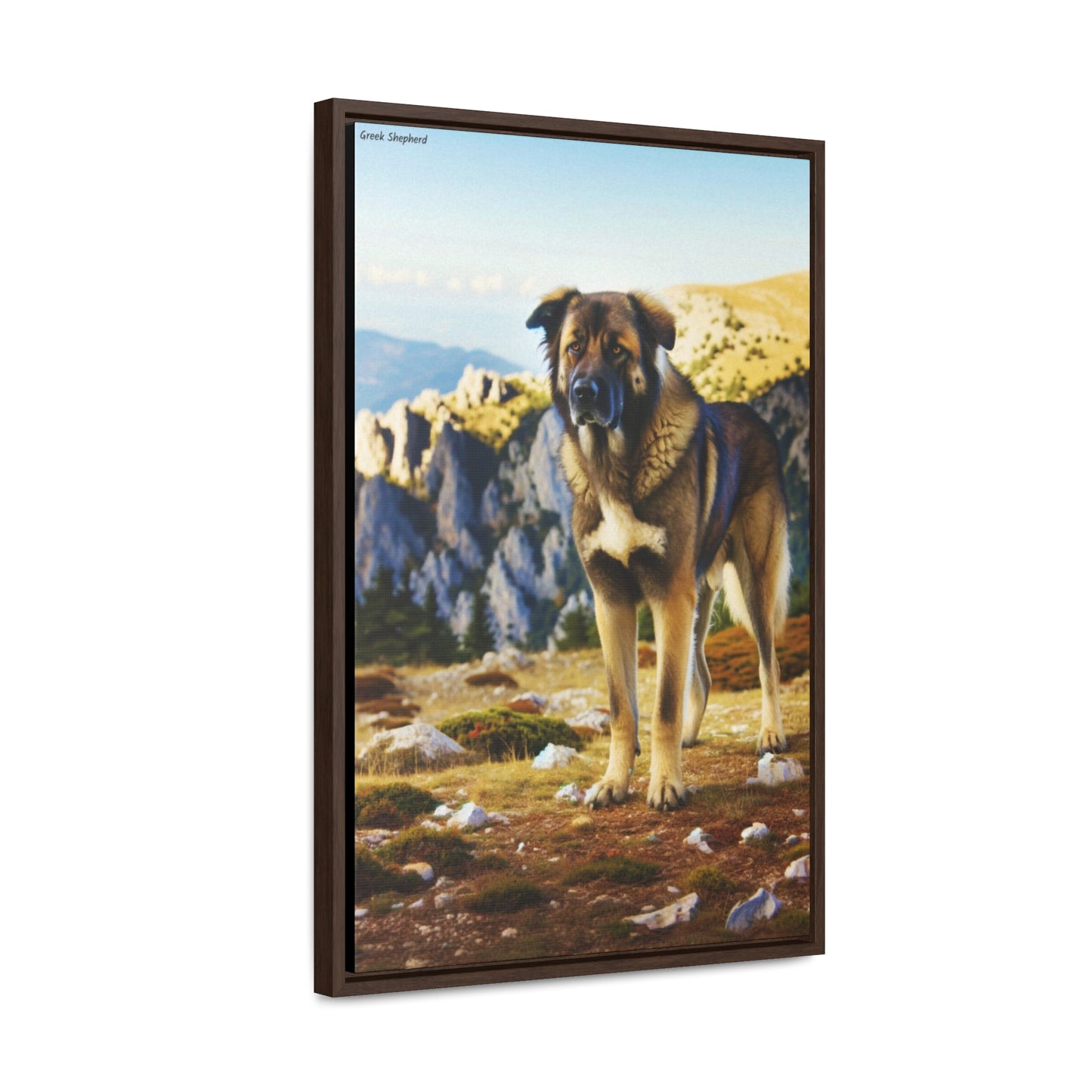 Guardian Spirit: The Greek Shepherd Dog Canvas by Arturo Digavi