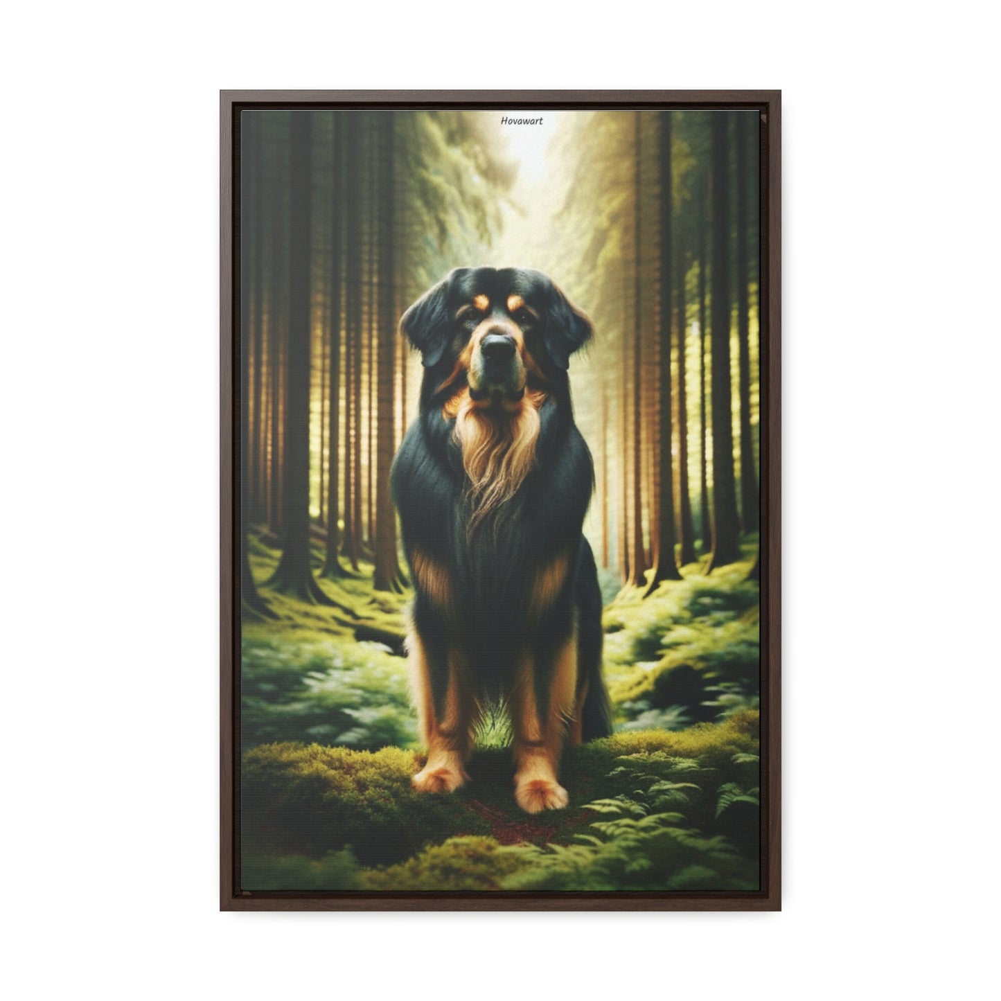 Majestic Presence: The Hovawart Dog Canvas by Arturo Digavi