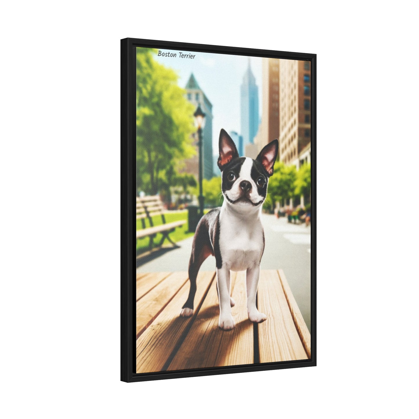 Boston Terrier Brilliance: A Touch of Charm for Your Home