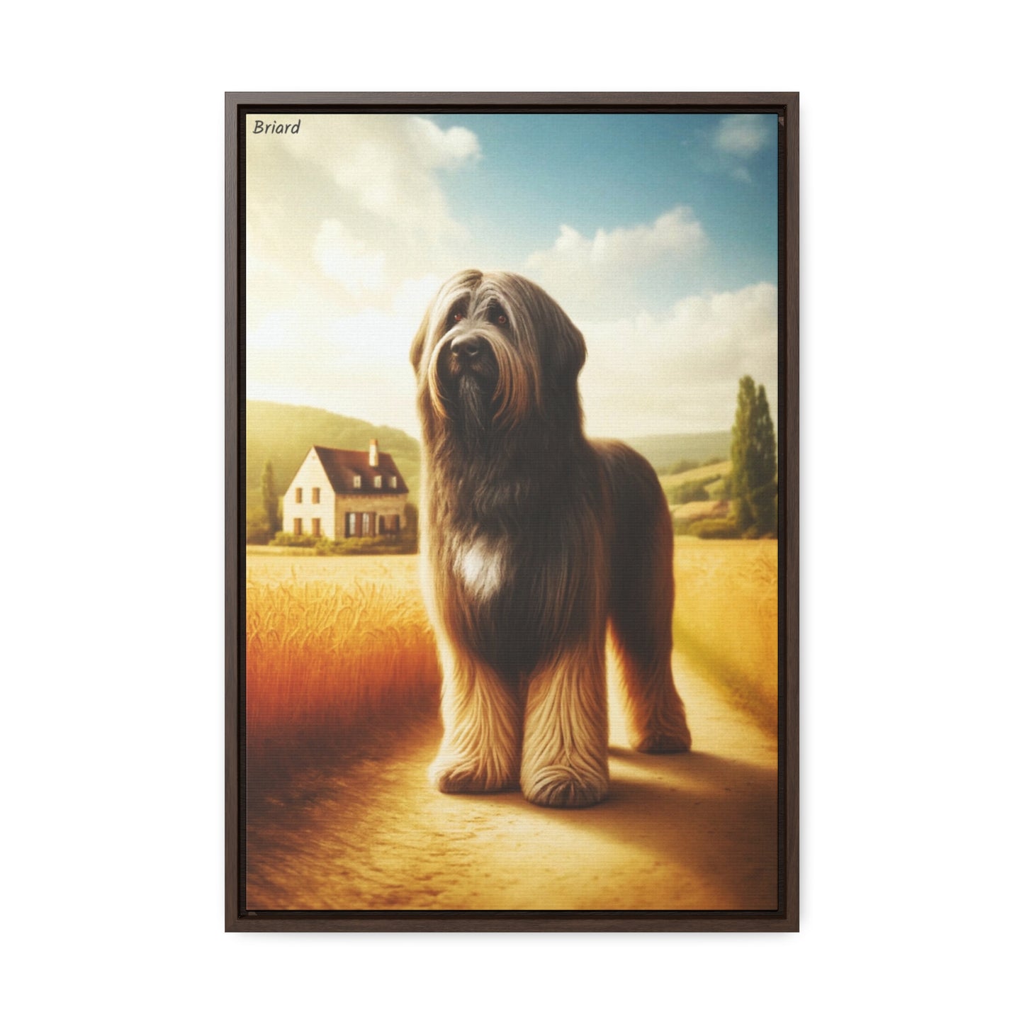 The Majestic Briard: A Canvas Celebration