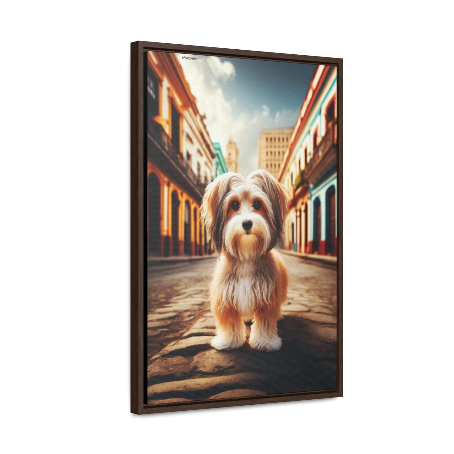 Charming Elegance: The Havanese Dog Canvas by Arturo Digavi