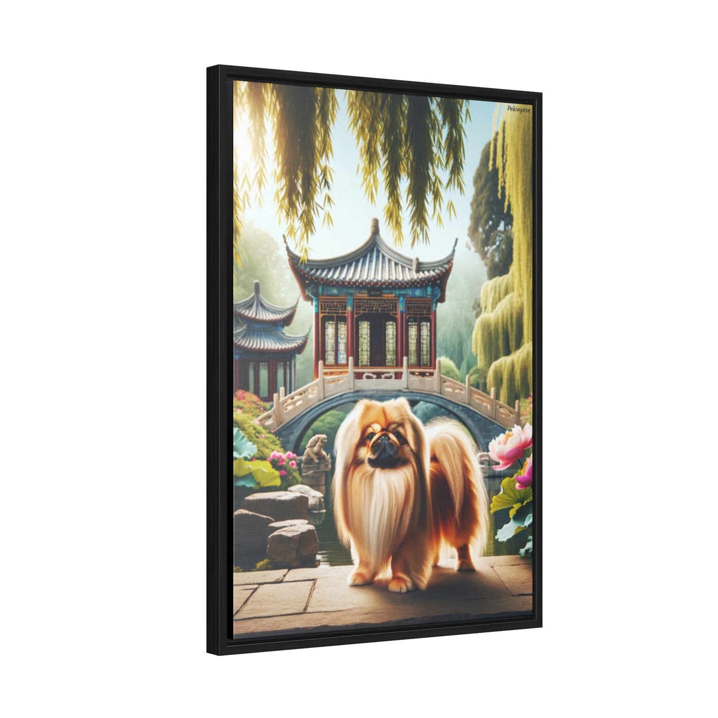 Adorn Your Space with the Majestic Pekingese