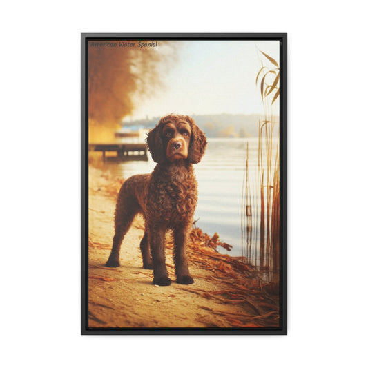 American Water Spaniel: Grace in Motion